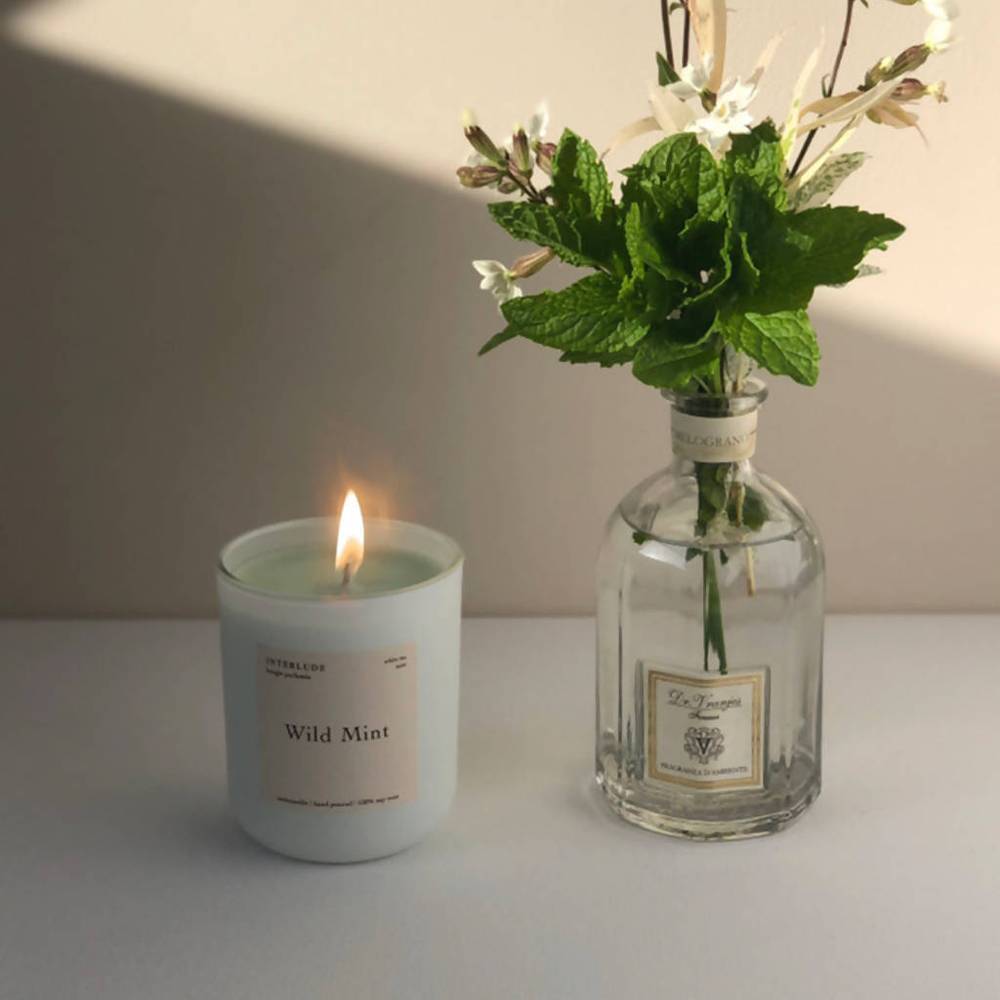 WILD MINT SOY WAX CANDLE