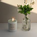 WILD MINT SOY WAX CANDLE