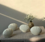 SHELL CANDLE