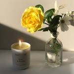 PEAR & FREESIA SOY WAX CANDLE