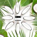 COTTON FRESH NATURAL DEODORANT CREAM